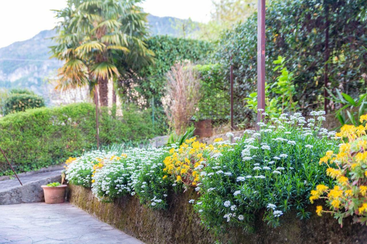 Casa Giulia Βίλα Lierna Εξωτερικό φωτογραφία